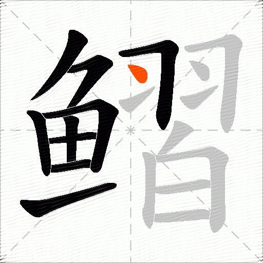 鳛