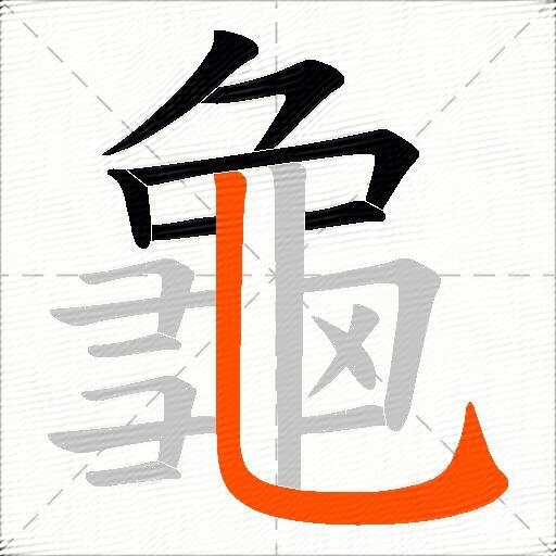 龜