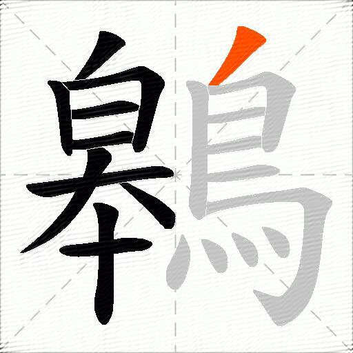 鷎