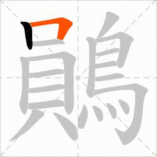 鶰