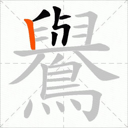 鸒