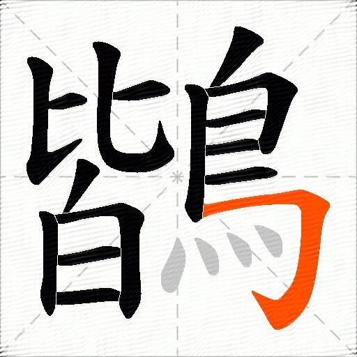 鶛