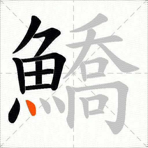 鱎