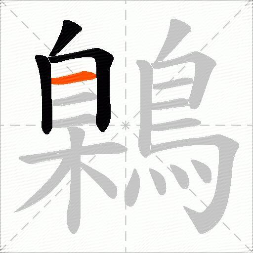 鷍