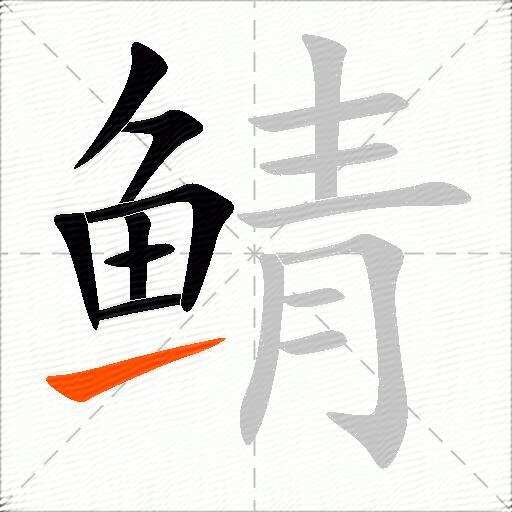 鲭