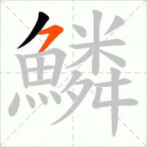 鱗