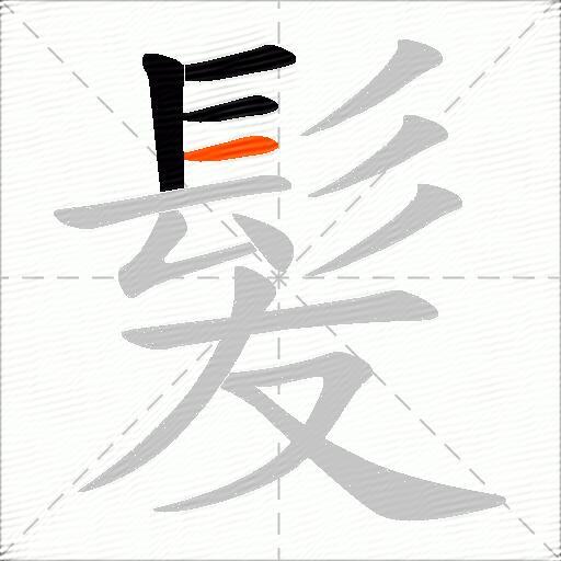 髪