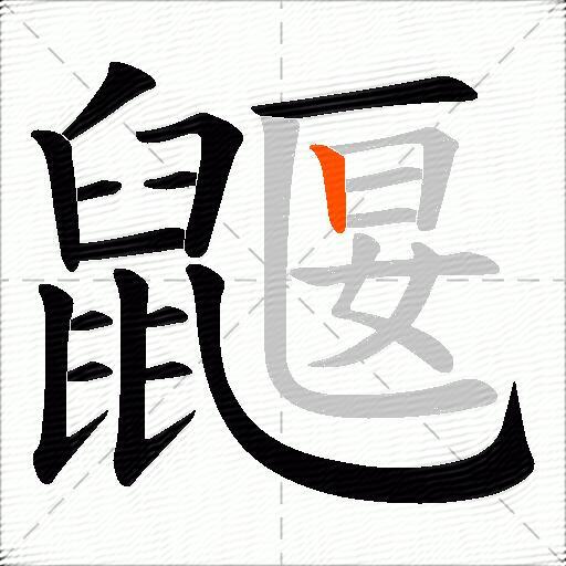 鼴
