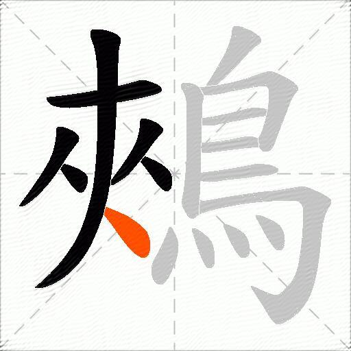 鵊