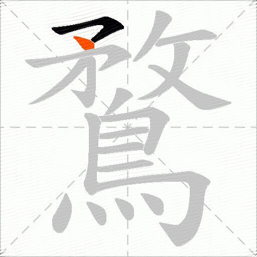 鶩