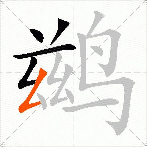 鹚
