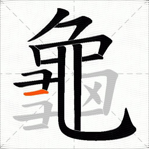 龜