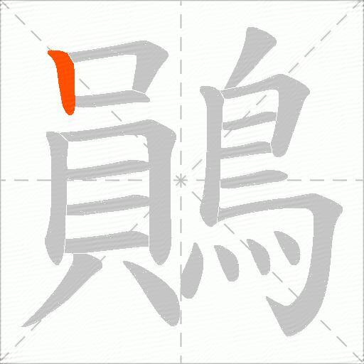 鶰