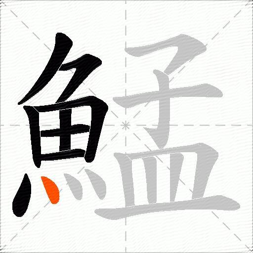 鯭