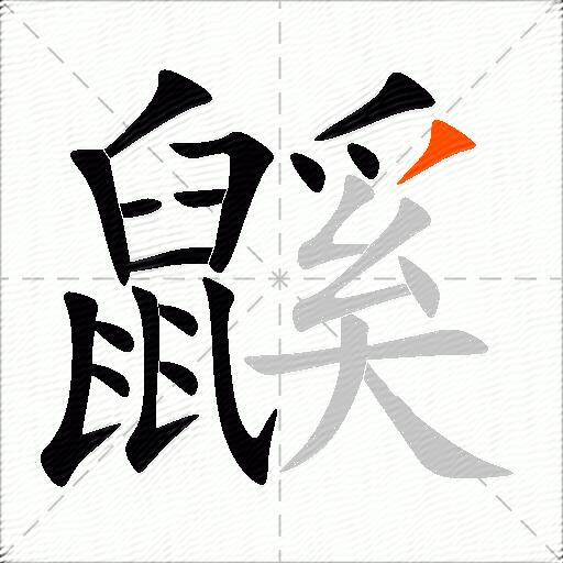 鼷