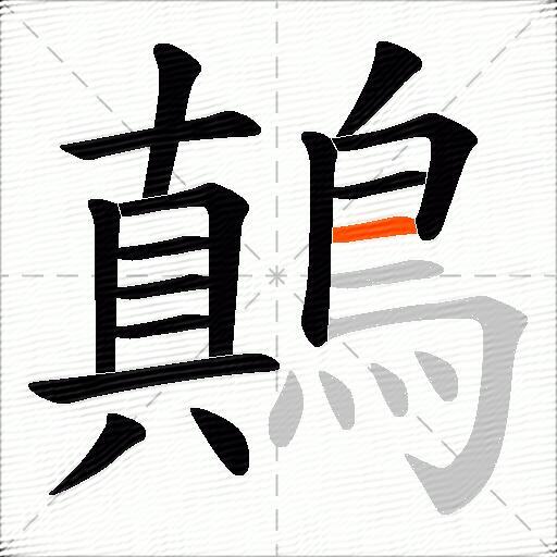 鷏