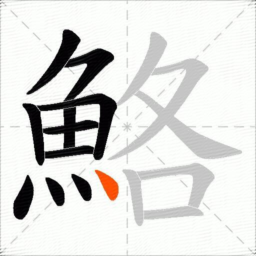 鮥
