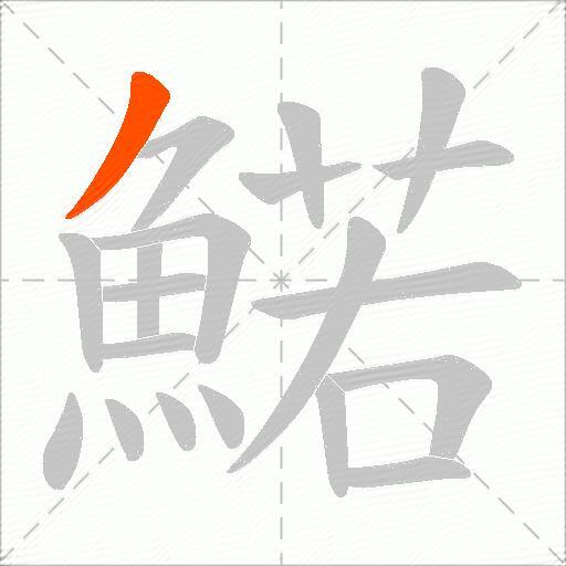 鰙