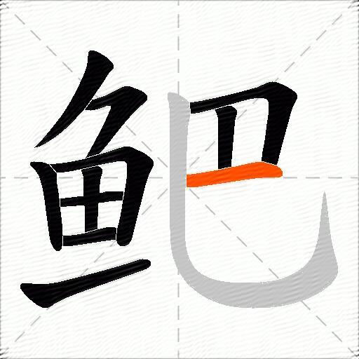 鲃