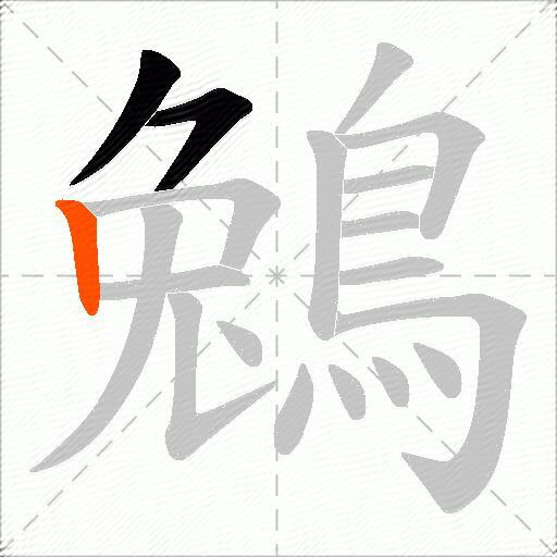 鵵