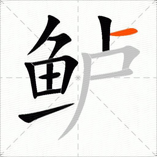鲈