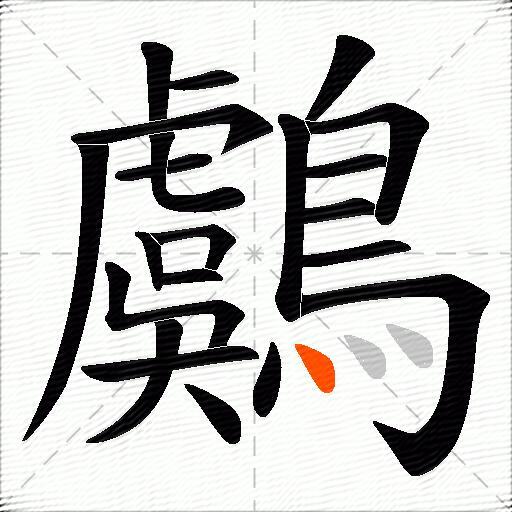 鸆