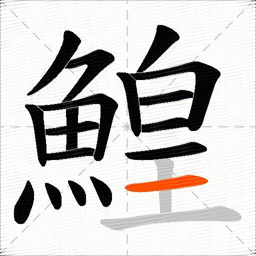 鰉