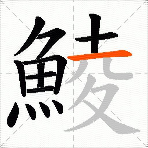 鯪