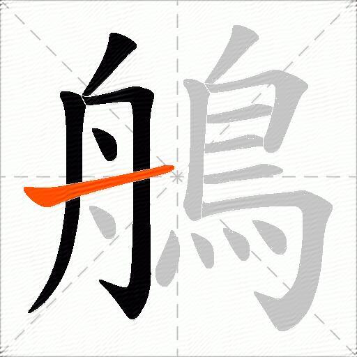 鵃