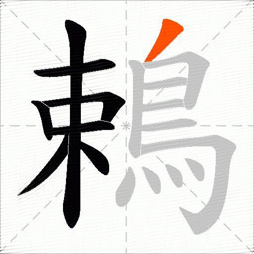 鵣