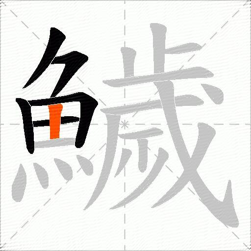 鱥