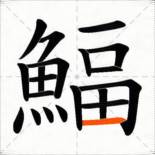 鰏