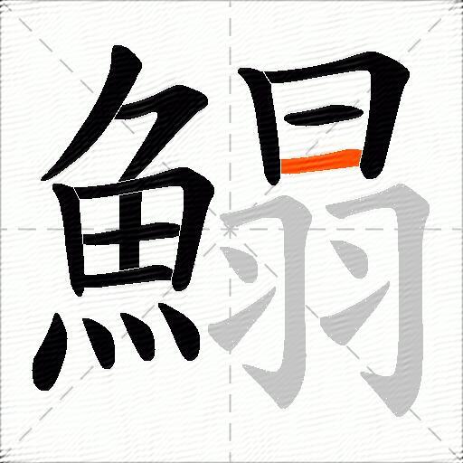 鰨