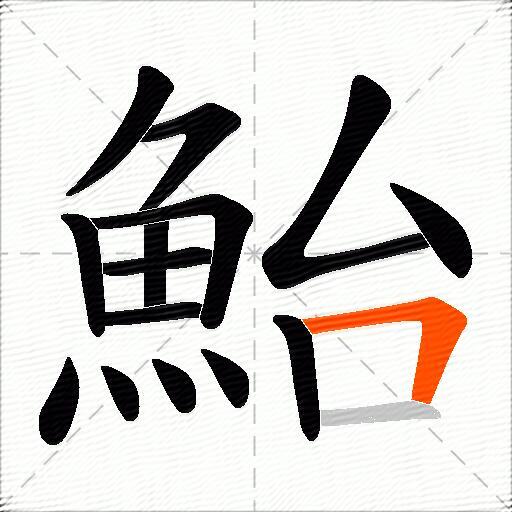 鮐