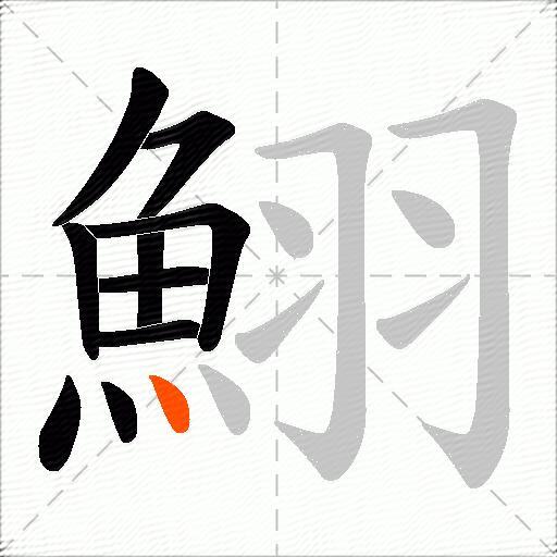 鮙