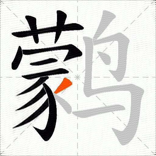鹲