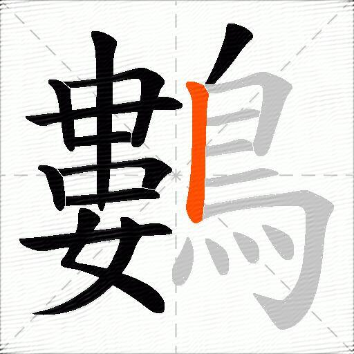 鷜