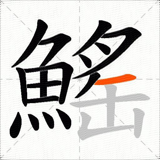 鰩