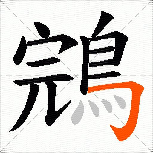 鵍
