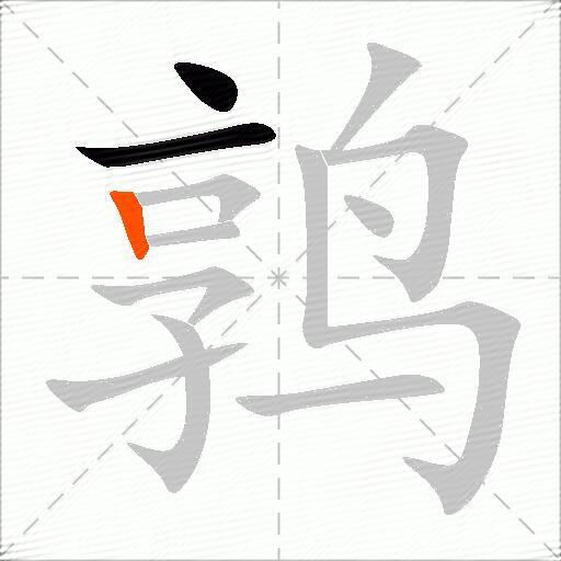 鹑