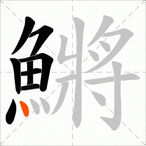 鱂