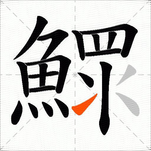 鰥