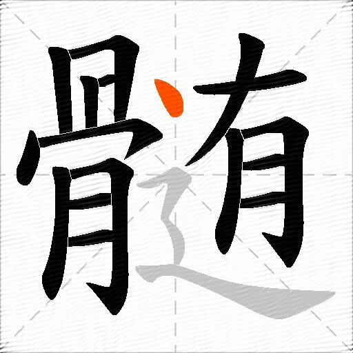 髄