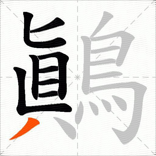 鷆