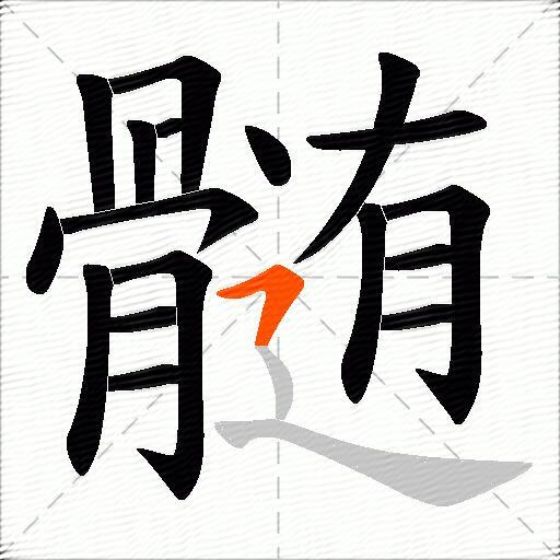 髄
