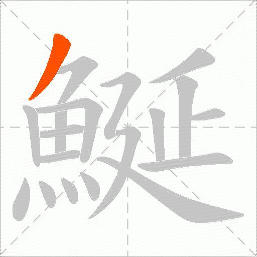鯅
