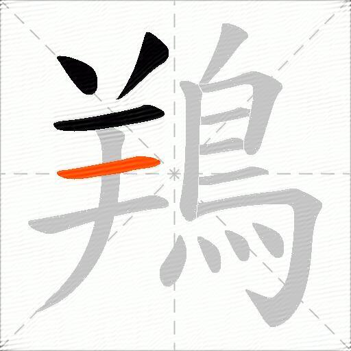 鴹
