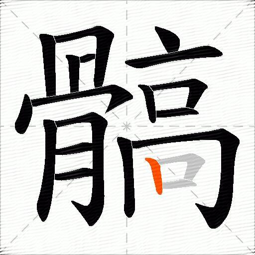髇