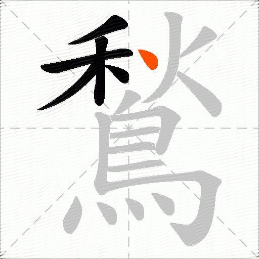 鶖