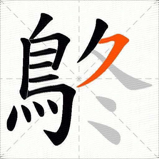 鴤